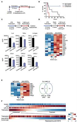 VISTA Re-programs Macrophage Biology Through the Combined Regulation of Tolerance and Anti-inflammatory Pathways